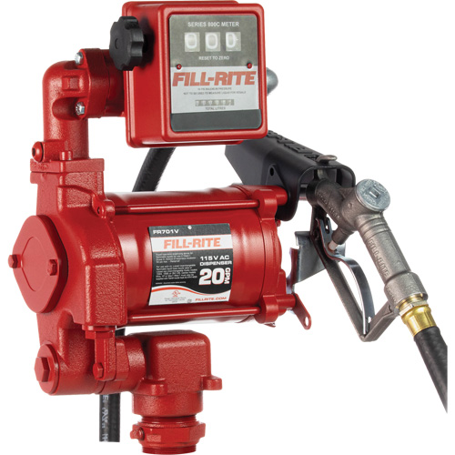 Pompes &agrave; palettes, rotatives & utilitaires, c.a., 115 V, 20 gal./min MAS Chibougamau
