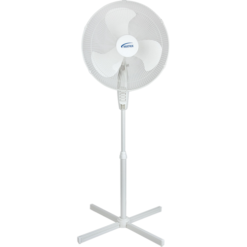 Oscillating Pedestal Fan, Commercial, 3 Speed, 18" Diameter MAS Chibougamau