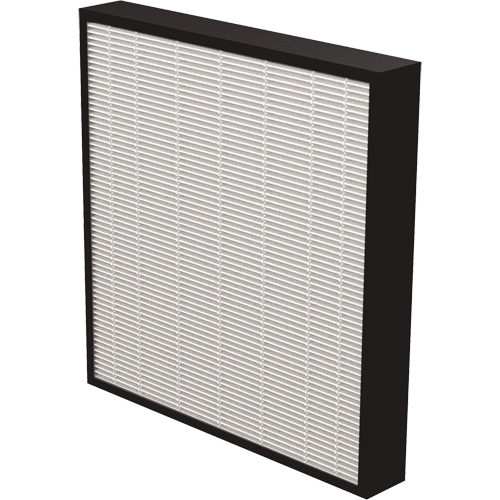 V&eacute;ritables filtres HEPA AeraMax Pro AM3 & AM4 2", Boîte, 13,75" la x 2,25" p x 14,38" h MAS Chibougamau