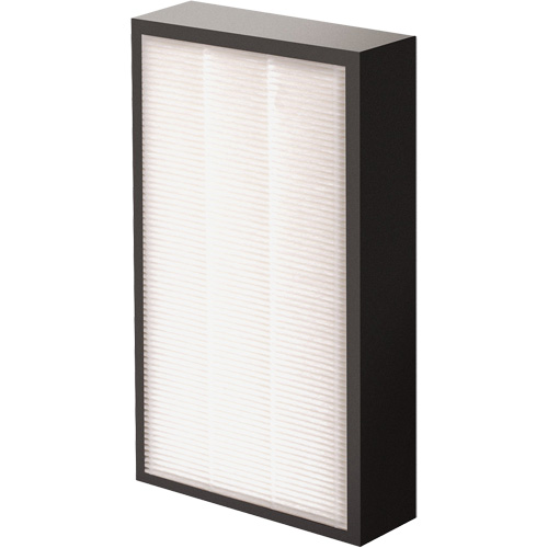 V&eacute;ritables filtre HEPA AeraMax Pro AM2 1-3/4", Boîte, 7,38" la x 1,88" p x 12,88" h MAS Chibougamau