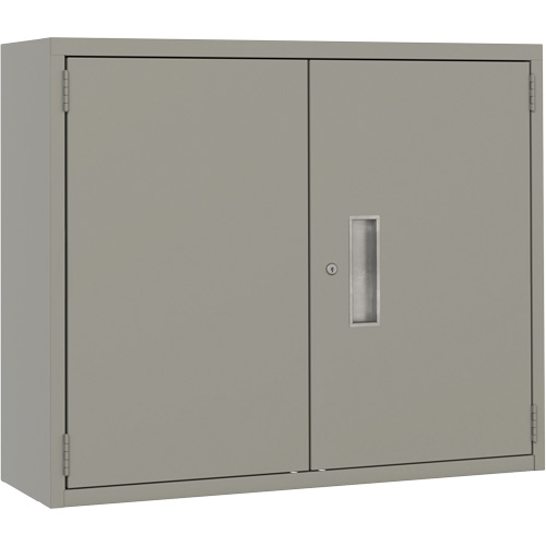 Wall Mounted Cabinet, Steel, 2 Shelves, 30" H x 36" W x 12" D, Grey MAS Chibougamau