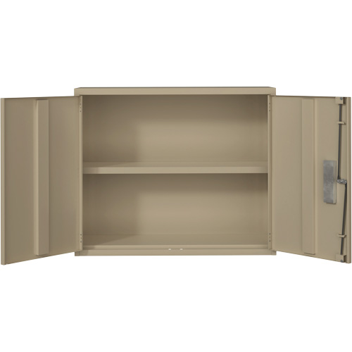 Wall Mounted Cabinet, Steel, 2 Shelves, 30" H x 36" W x 12" D, Beige MAS Chibougamau