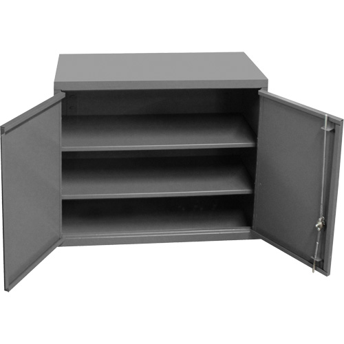 Armoire murale, 27" h x 13-11/16" la x 35-7/8" p, 2 tablettes, Acier, Gris MAS Chibougamau