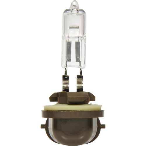 886 Basic Fog Light Bulb, Halogen, 50 W, Off White MAS Chibougamau