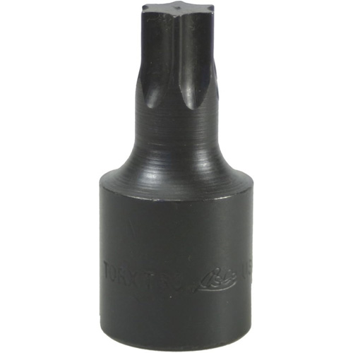 Bit Socket, Torx, T-60, 1/2" Drive MAS Chibougamau
