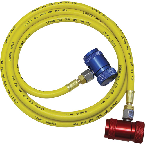 Ensemble flexible de rinçage pour syst&egrave;me de climatisation R1234yf MAS Chibougamau