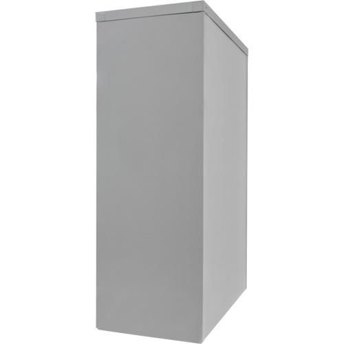 Armoire de rangement &agrave; hauteur de comptoir, Acier, 2 Tablettes, 42" h x 48" la x 24" P, Gris MAS Chibougamau