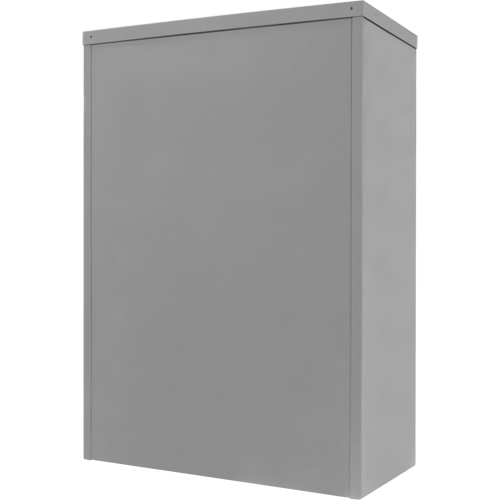 Armoire de rangement &agrave; hauteur de comptoir, Acier, 2 Tablettes, 42" h x 48" la x 24" P, Gris MAS Chibougamau