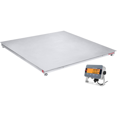 DEFENDER 3000 Floor Scale, 2500 lbs. Capacity, 48" W x 48" L MAS Chibougamau