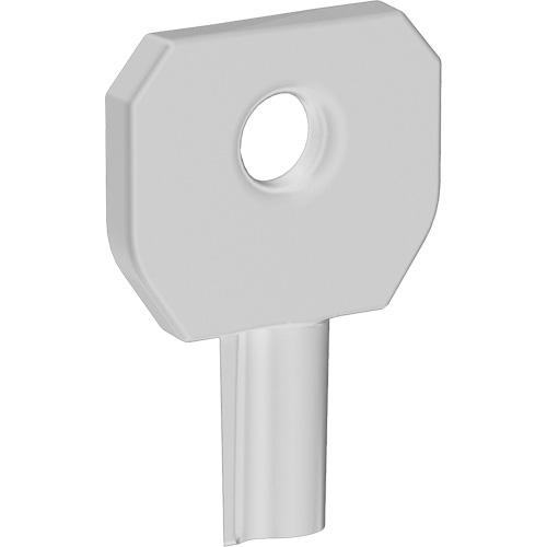 Cl&eacute; pour distributeur Lock or Not MAS Chibougamau