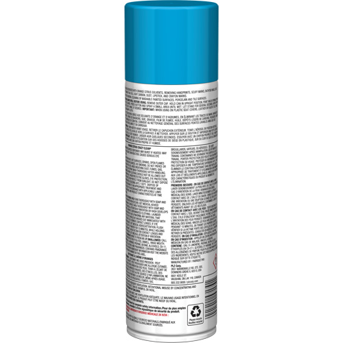 Pro Line Crazy Clean&reg; All Purpose Cleaner, 19 oz., Aerosol Can MAS Chibougamau