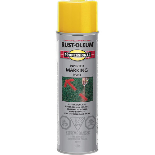 Peinture de marquage renvers&eacute; en a&eacute;rosol, 426 g, Canette a&eacute;rosol MAS Chibougamau