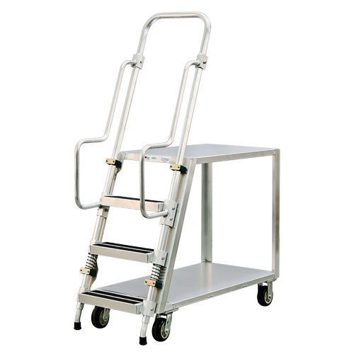 Chariot de pr&eacute;paration en aluminium avec &eacute;chelle, Aluminium, 22" la x 51-1/2" p, 2 tablettes, Capacit&eacute; 800 lb MAS Chibougamau