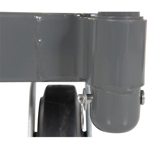 Platform Truck, 48" L x 24" W, 2000 lbs. Capacity, Rubber Casters MAS Chibougamau