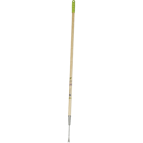 Dandelion Weeder MAS Chibougamau