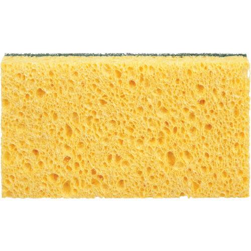 Utility Sponges, Cellulose, 6" W x 3-1/2" L MAS Chibougamau