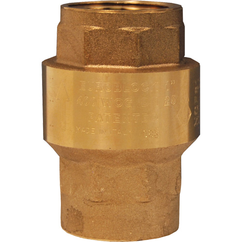 Spring-Loaded Check Valve MAS Chibougamau