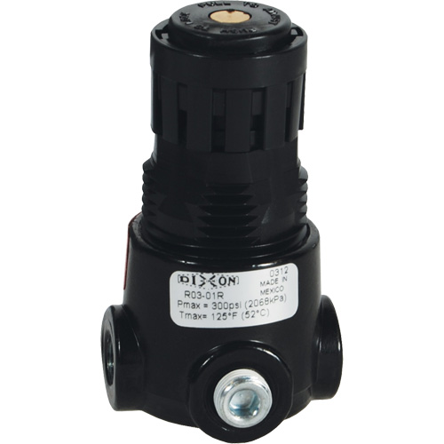 Wilkerson Miniature Regulator R03, 1/4" NPT, 300 psi Max. PSI, Standard MAS Chibougamau