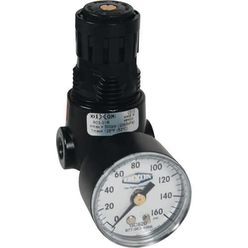 Wilkerson Miniature Regulator R04, 1/4" NPT, 300 psi Max. PSI, Standard MAS Chibougamau