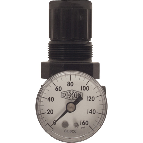 Series 1 Miniature Regulator, 1/8" NPT, 100 psi Max. PSI, Standard MAS Chibougamau