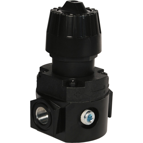 Wilkerson Compact Regulator R16, 1/4" NPT, 300 psi Max. PSI, Standard MAS Chibougamau