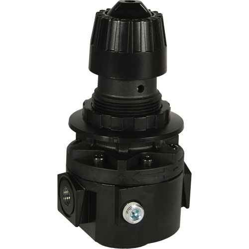 Wilkerson Regulator R26, 1/2" NPT, 300 psi Max. PSI, Standard MAS Chibougamau
