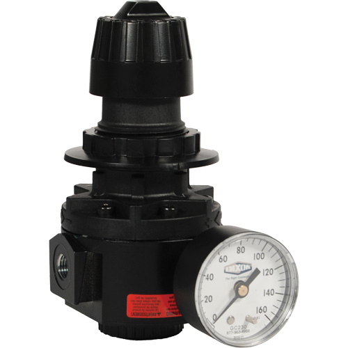 Wilkerson Regulator R26, 1/2" NPT, 300 psi Max. PSI, Standard MAS Chibougamau
