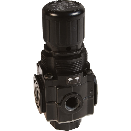 Series 1 Manifold Regulator, 1/4" NPT, 150 PSI Max. PSI, Standard MAS Chibougamau