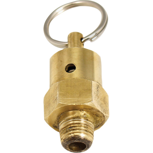 Viton&reg; Pressure Relief Valve MAS Chibougamau
