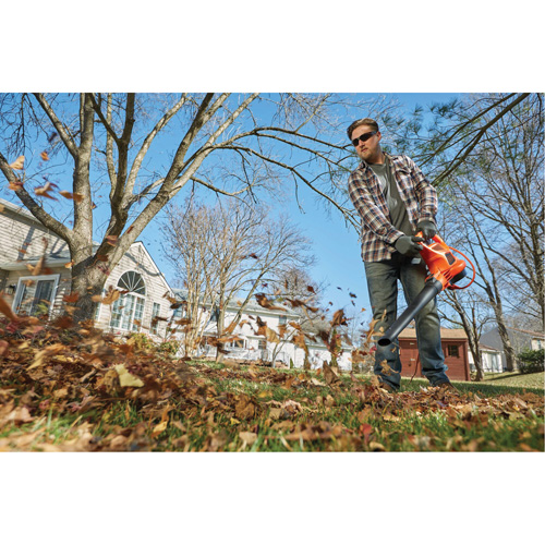 Souffleur/aspirateur/broyeur de feuilles 3-en-1 VacPack, Vitesse d'air 250 mi/h, &eacute;lectrique MAS Chibougamau