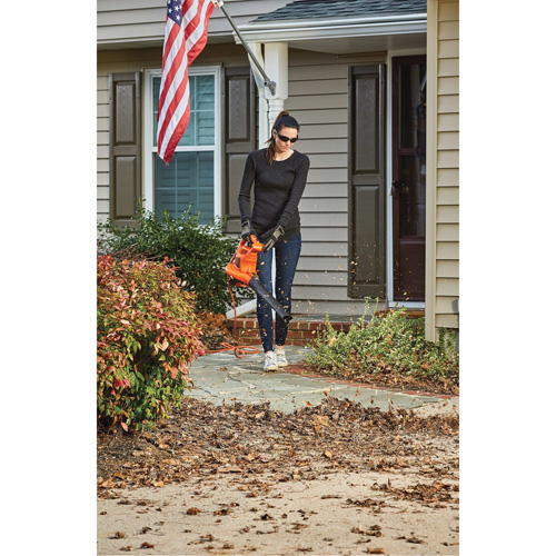 Souffleur/aspirateur/broyeur de feuilles 3-en-1 VacPack, Vitesse d'air 250 mi/h, &eacute;lectrique MAS Chibougamau