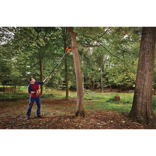 2-in-1 Pole Chainsaw MAS Chibougamau