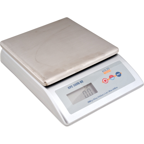 Platform Scale, 2000 g Capacity MAS Chibougamau