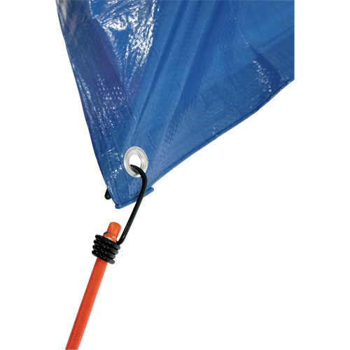 Bungee Cord Tie Downs, 12" MAS Chibougamau