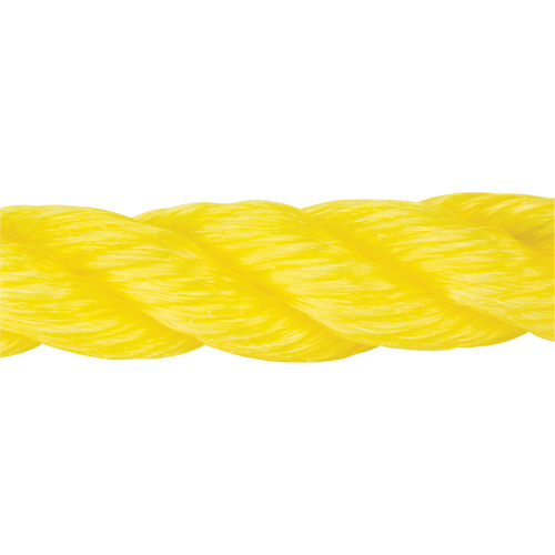 Corde jaune tress&eacute;e, Polypropyl&egrave;ne, 300' MAS Chibougamau
