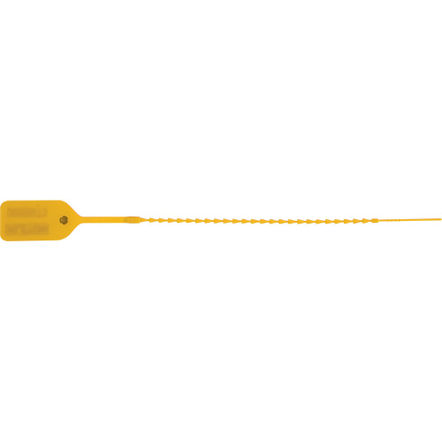 Scell&eacute; de s&eacute;curit&eacute; standard, 9", Plastique, Pousser et tirer MAS Chibougamau