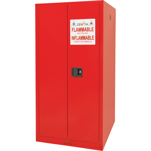 Paint/Ink Cabinet, 96 gal., 5 Shelves MAS Chibougamau