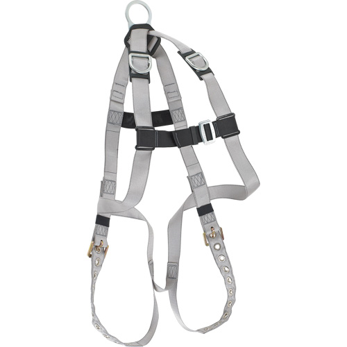 Dynamic B-Compliant Economy Harness, CSA Certified, Class AE, 310 lbs. Cap. MAS Chibougamau