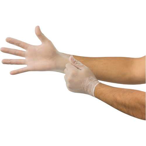 Gants jetables Derma Free MICROFLEX DF-850, 8,5/9/Grand, Vinyle, 3,1 mils/3,5 mils, Sans poudre, Transparent, Classe 2 MAS Chibougamau