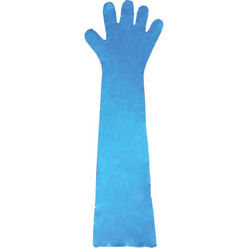 Gants jetables en latex, Gants jetables, Gants jetables en vinyle, Poly&eacute;thyl&egrave;ne, Sans poudre, Bleu MAS Chibougamau
