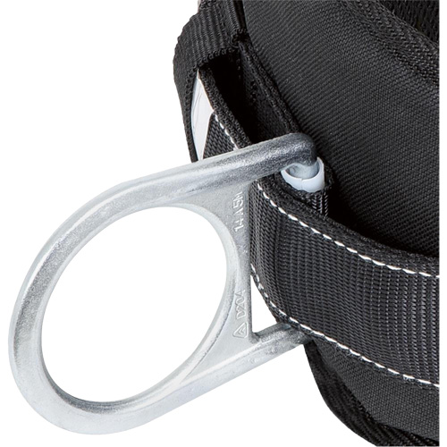 WB-6020-XXL Dispositif de retenue de s&eacute;curit&eacute; avec ceinture &agrave; deux anneaux en D et support lombaire rembourr&eacute; - 2T-grand MAS Chibougamau