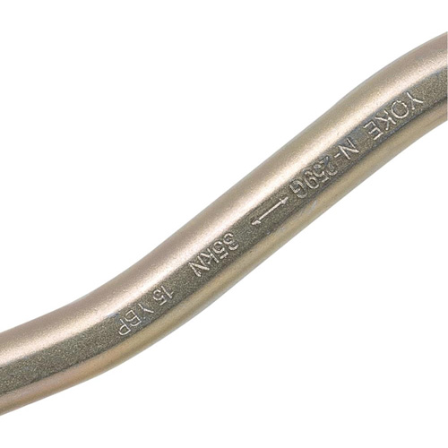 CP-04011-1 Zinc Plated Carabiner with 2" Gate Opening, Steel MAS Chibougamau