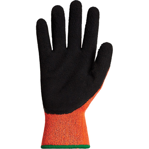 Gants d'hiver r&eacute;sistants &agrave; la coupe Dexterity TKTAGLX, Taille 2T-Grand, Calibre 13, Rev&ecirc;tement Latex, Enveloppe en TenActiv, ASTM ANSI niveau A3 MAS Chibougamau