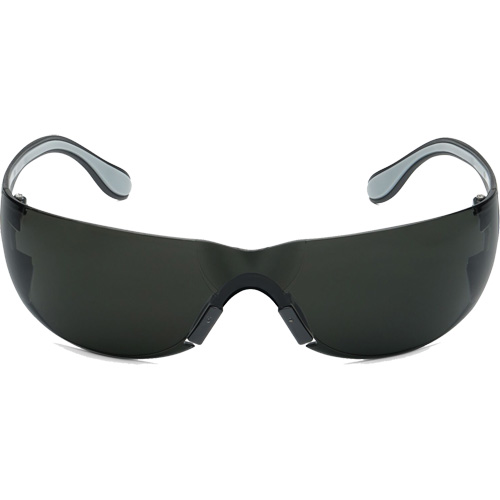 Adapt Lite Safety Glasses, Smoke Lens, Anti-Fog/Anti-Scratch, ANSI Z87+/Meets/Exceeds CSA Z94.3 MAS Chibougamau