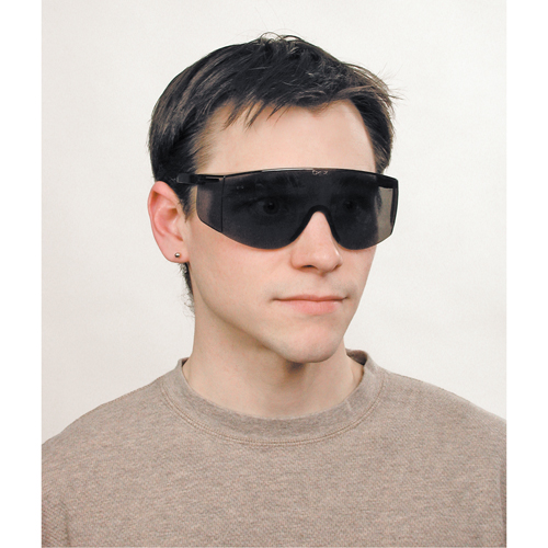 Lunettes de s&eacute;curit&eacute; Tacoma, Lentille Grise/fum&eacute;e, Anti-&eacute;gratignures, ANSI Z87+ MAS Chibougamau