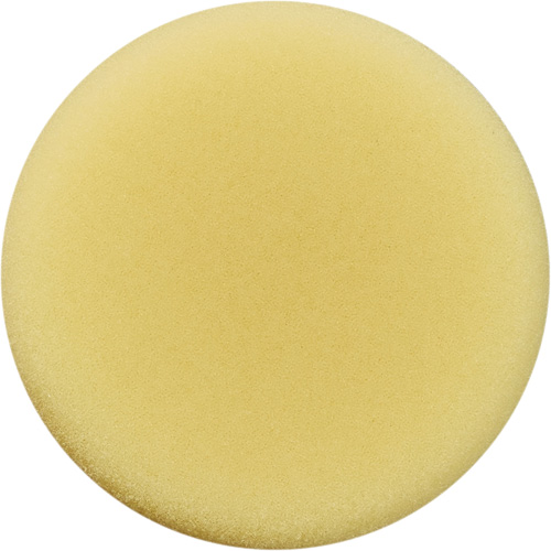 Polishing Pad, 3" Dia. MAS Chibougamau