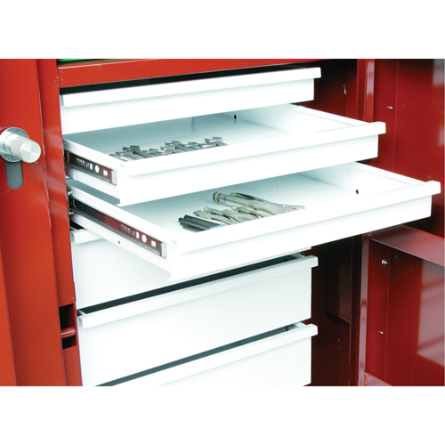 Rolling Work Bench, 49-7/8" W x 40-5/8" H x 26-7/8" D, 24.6 Cubic Feet Capacity MAS Chibougamau