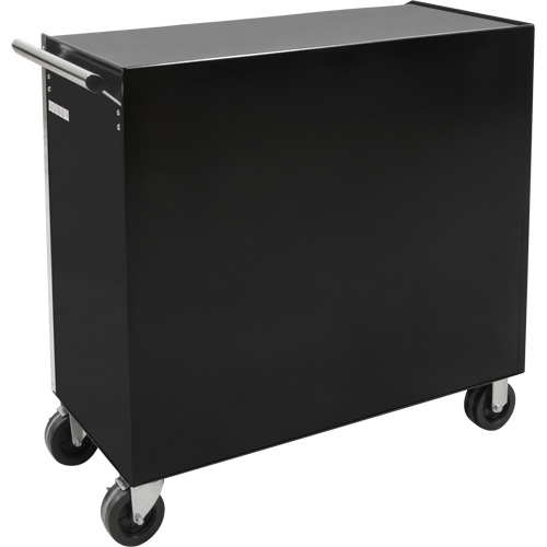 Industrial Tool Cart, 11 Drawers, 41" W x 18-3/4" D x 39-1/3" H, Black MAS Chibougamau