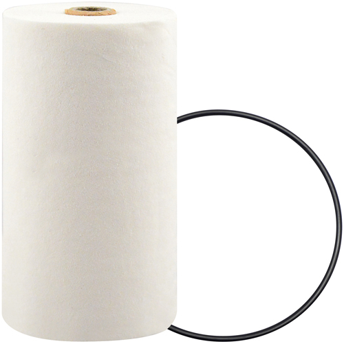 P7247 Filtre pour liquide de refroidissement &agrave; visser avec additif BTE MAS Chibougamau