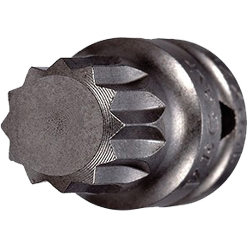 Socket Bit, Triple Square, 5 x 3/4" L, 1/4" Drive MAS Chibougamau